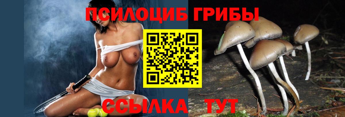 Псилоцибиновые грибы прущие грибы  Вход с VPN  Псилоцибиновые грибы мицелий  Улан-Удэ 