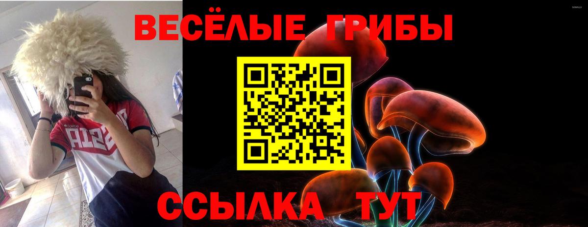 Псилоцибиновые грибы Psilocybine cubensis Улан-Удэ